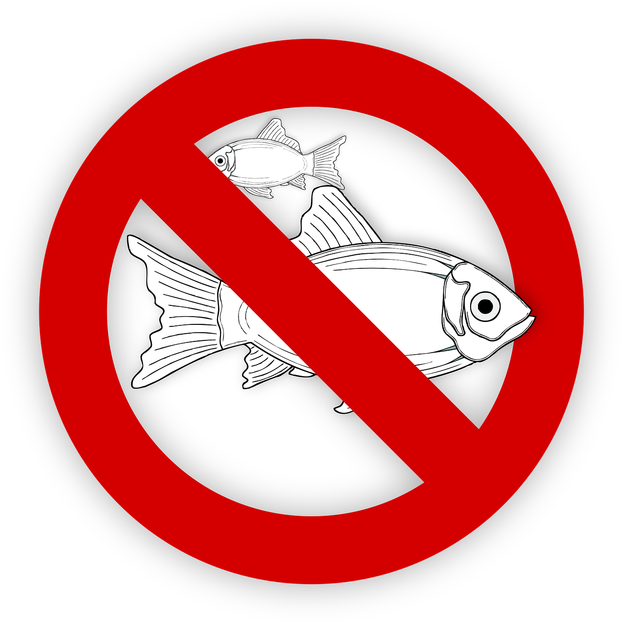 pixabay-995050-467.png
